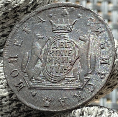 174547142.jpg