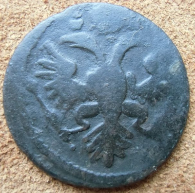 CIMG3537.JPG