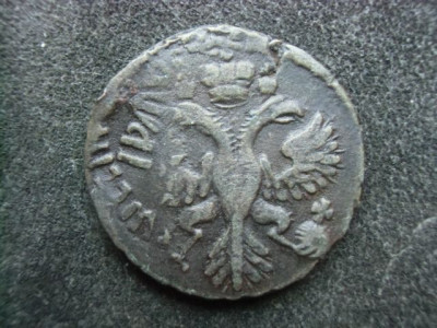 CIMG6056.JPG